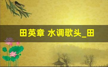 田英章 水调歌头_田英章米字格满江红